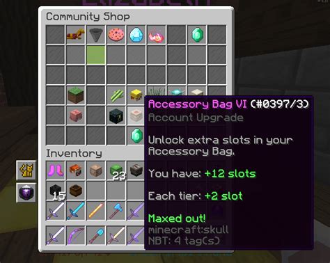 how to get more accessory slots skyblock|Accessory Bag .